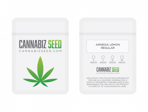 Amnesia Lemon Regular Seeds Packaging