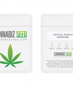 Critical Purple Feminized Seeds Packaging