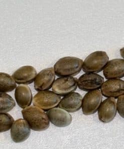 Harle-Tsu CBD Image of Seeds