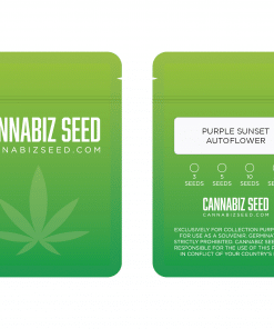 Purple Sunset Autoflower Seeds Packaging