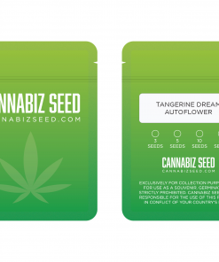 Tangerine Dream Autoflower Seeds Packaging