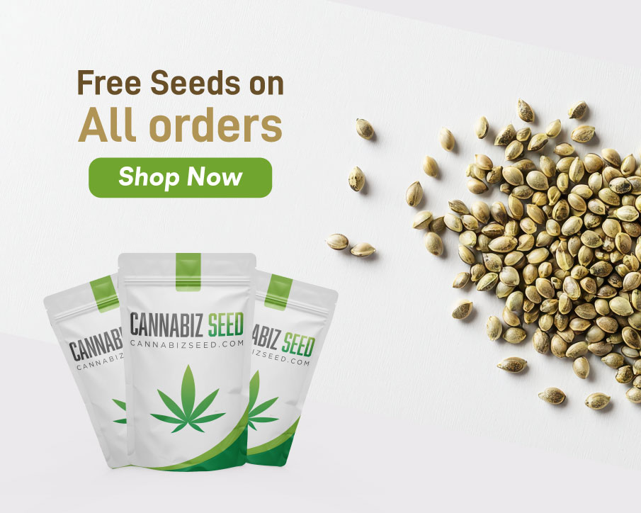 Free Seeds on all orders with Cannabiz Seed | Cannabiz Seed Free Seeds on all orders with Cannabiz Seed