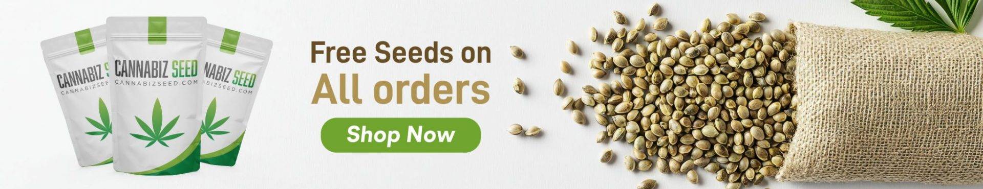 कैनाबिज़ सीड के साथ सभी ऑर्डर पर मुफ़्त बीज