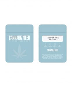 Agent Orange Regular Seeds Packaging