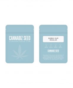 Bubble Gum Regular Seeds Packaging