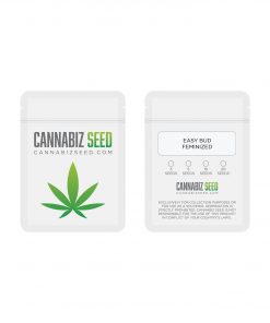 Easy Bud Feminized Cannabis Seeds Packaging