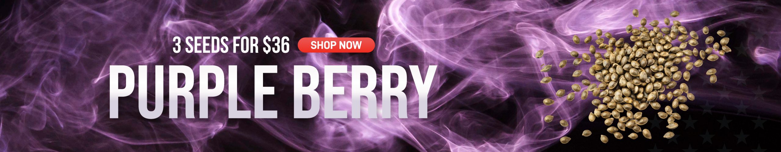 Purple Berry Desktop Banner Promotion