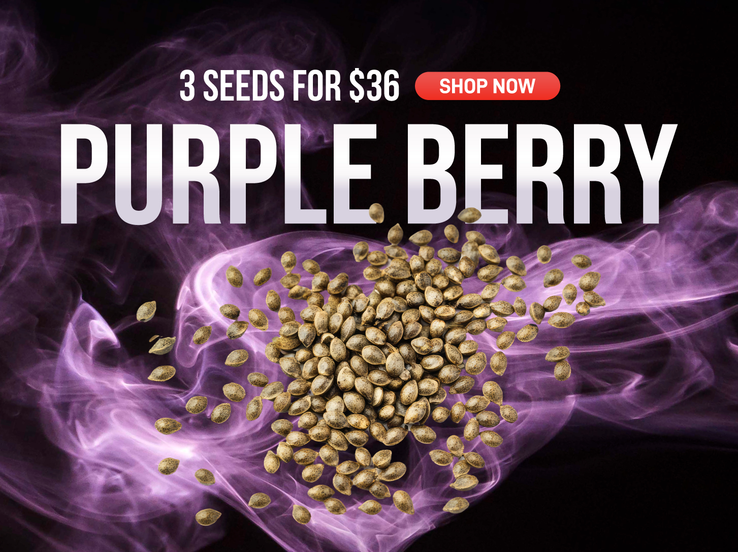 Purple Berry Mobile Banner Promotion