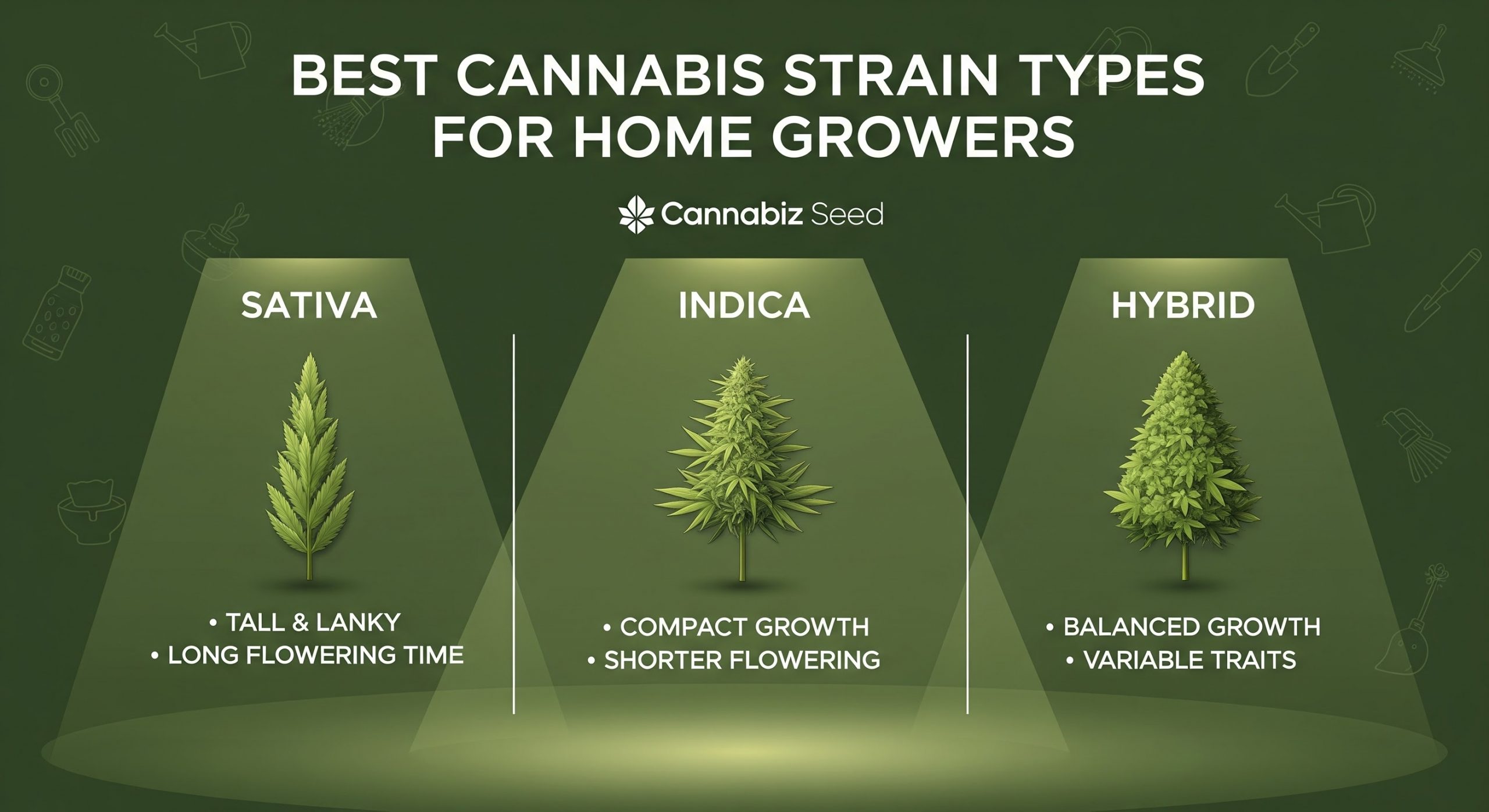 Los mejores tipos de variedades de cannabis para cultivadores caseros