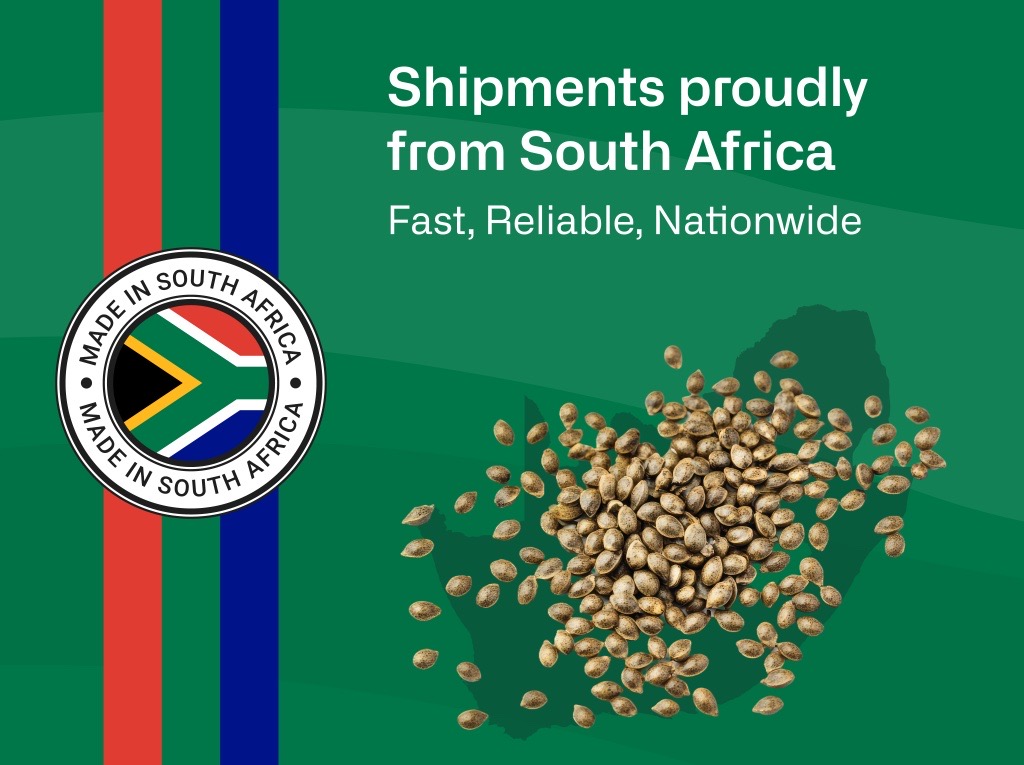 Baner promocyjny dotyczący przesyłek z Republiki Południowej Afryki, zawierający znak „Made in South Africa” oraz nasiona ułożone w kształt konturu mapy Republiki Południowej Afryki na zielonym tle.